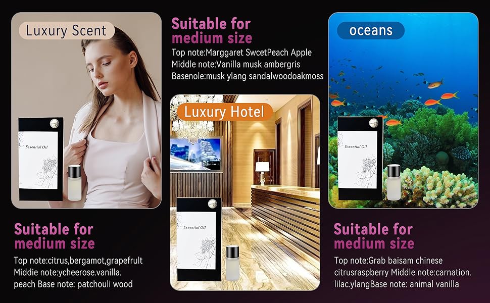 Freshen Your Ride with Featwell! - Featwell